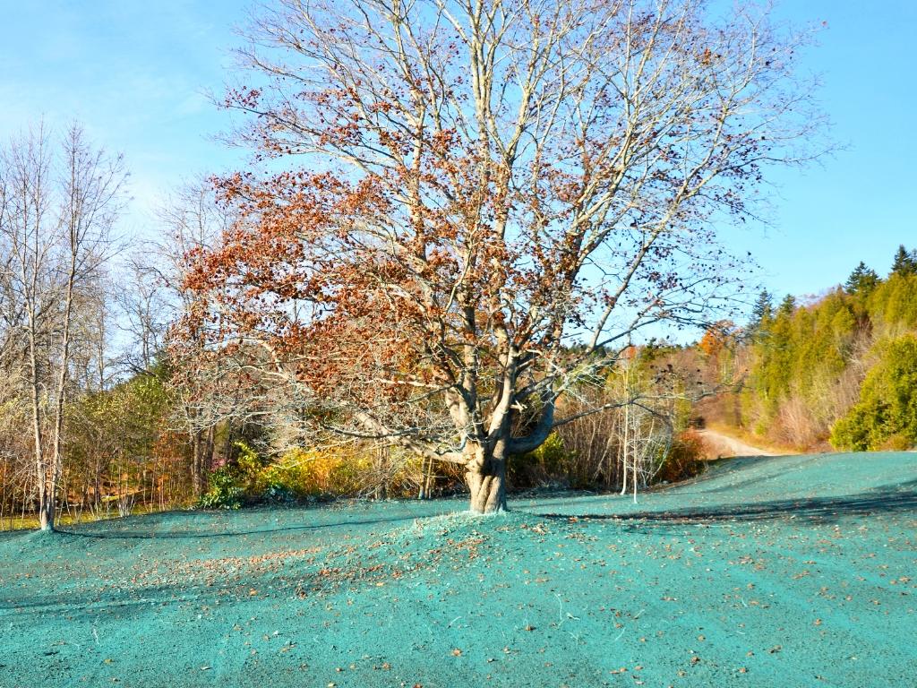 Roberts Property Management LLC 860 248 7966 39 Treadwell Ave, Thomaston, CT, 06787 hydroseeding
